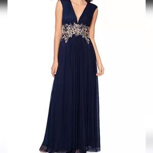 Betsy And Adam V Neck  Embroidered Gown Size 2P NWT